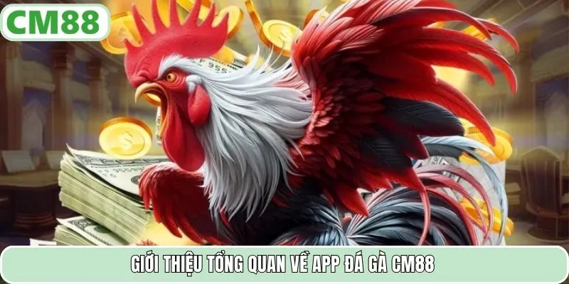 Giới thiệu tổng quan về app đá gà CM88