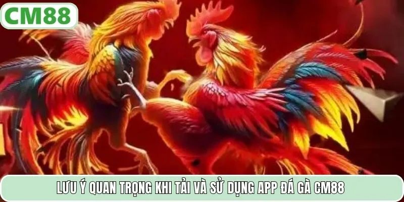 Lưu ý quan trọng khi tải và sử dụng app đá gà CM88